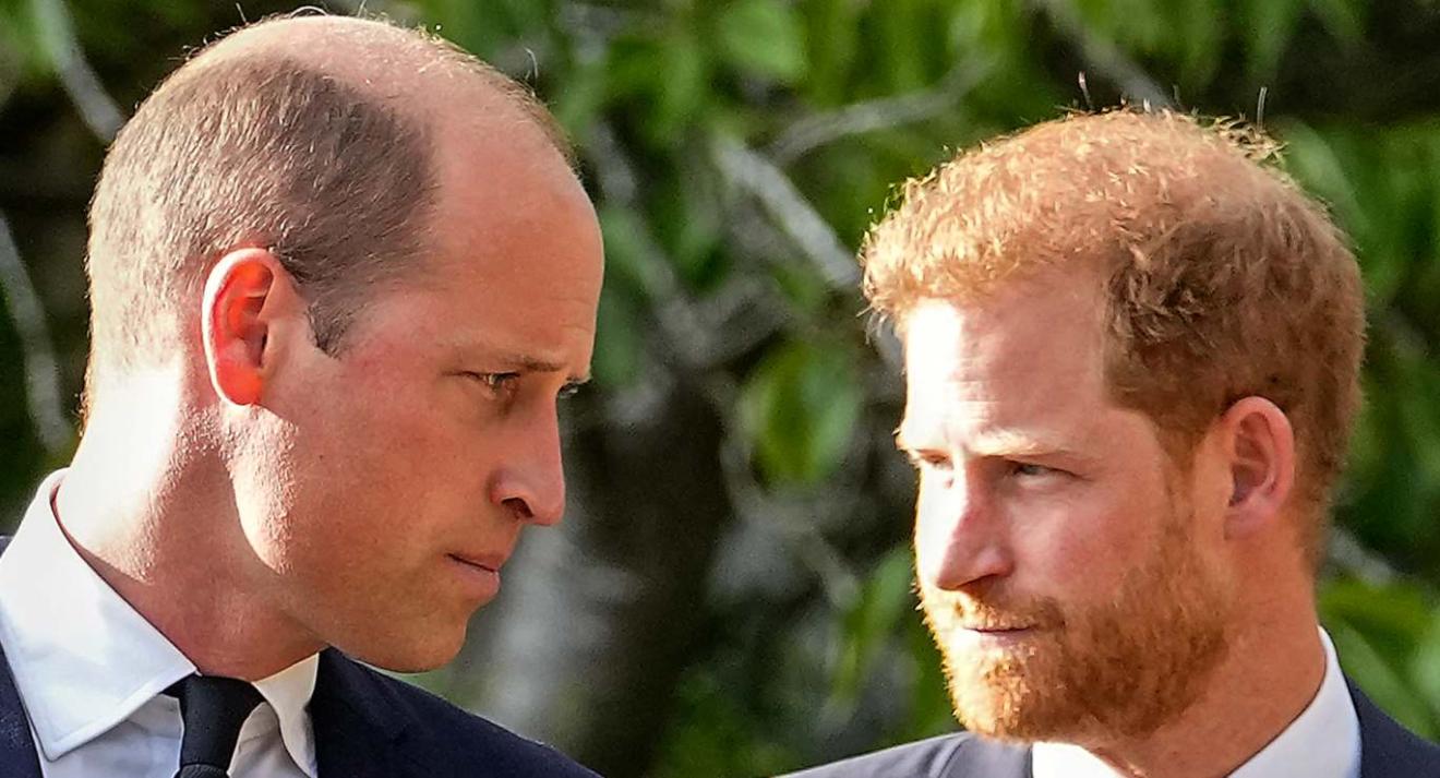 Harry vuelve al ataque contra su hermano, ¿William se casó borracho?