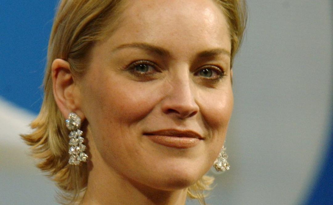 Sharon Stone, de 64 años, sorprende con atrevida foto en la alberca