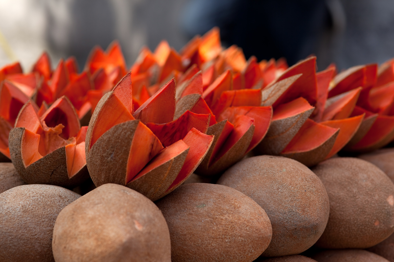 Agua fresca de mamey con la receta de Yuri de Gortari