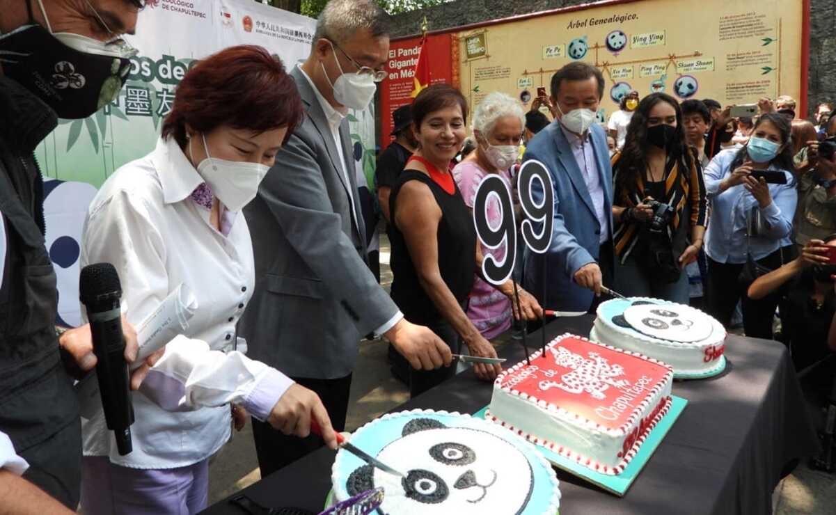 ¡Celebración doble! Con pastel y mañanitas festejan los 99 años del Zoológico de Chapultepec y cumpleaños de pandas gigantes
