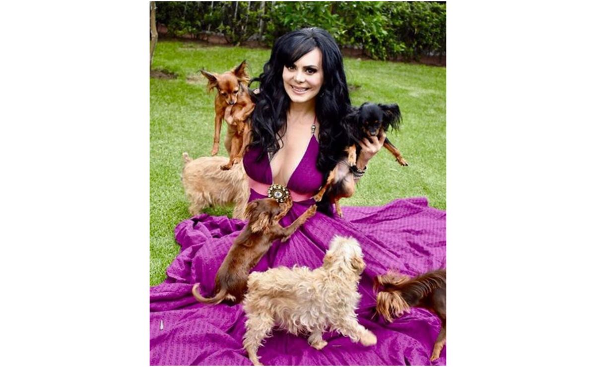 Maribel Guardia llora la muerte de su perrito “Pariño”