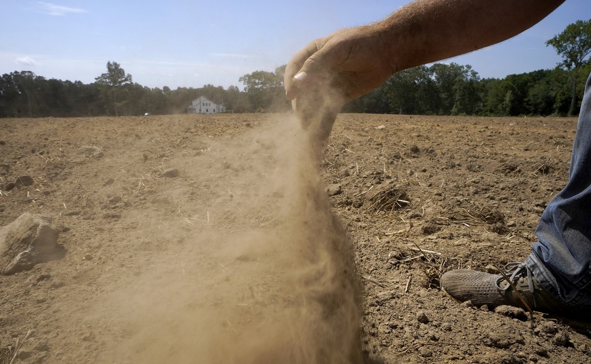 Cambio climático aumentó probabilidad de sequía "20 veces": investigación 