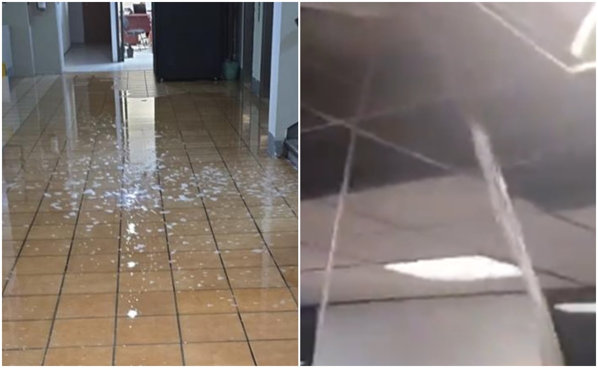 VIDEO: Denuncian filtración de agua en edificio del INE; inunda oficinas y pasillos 