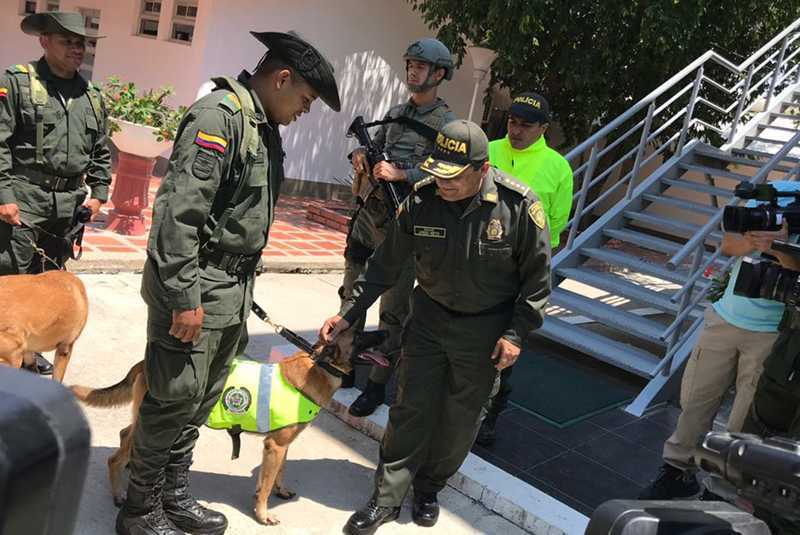 Perro impide que dos toneladas de cocaína salgan de Colombia a México
