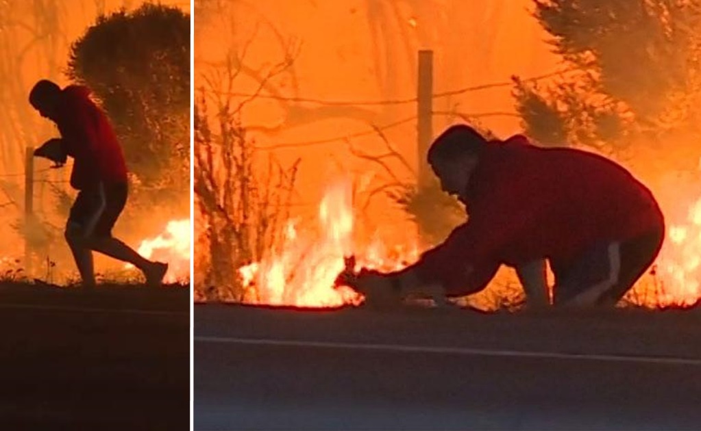 Video. Hombre rescata a un conejo de incendio en California