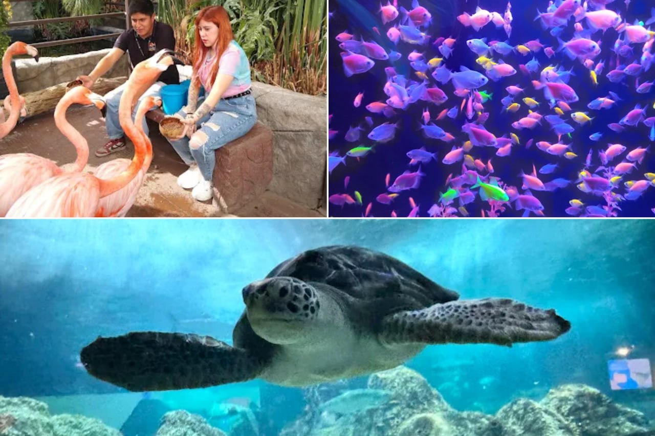 El lugar más y el menos recomendado para visitar en Puebla estas vacaciones