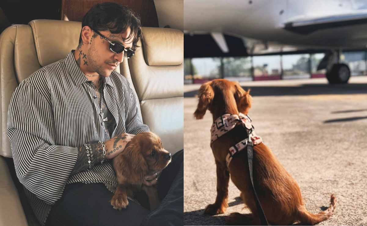 Ángela Aguilar y Christian Nodal abren cuenta de Instagram a su nuevo perrito