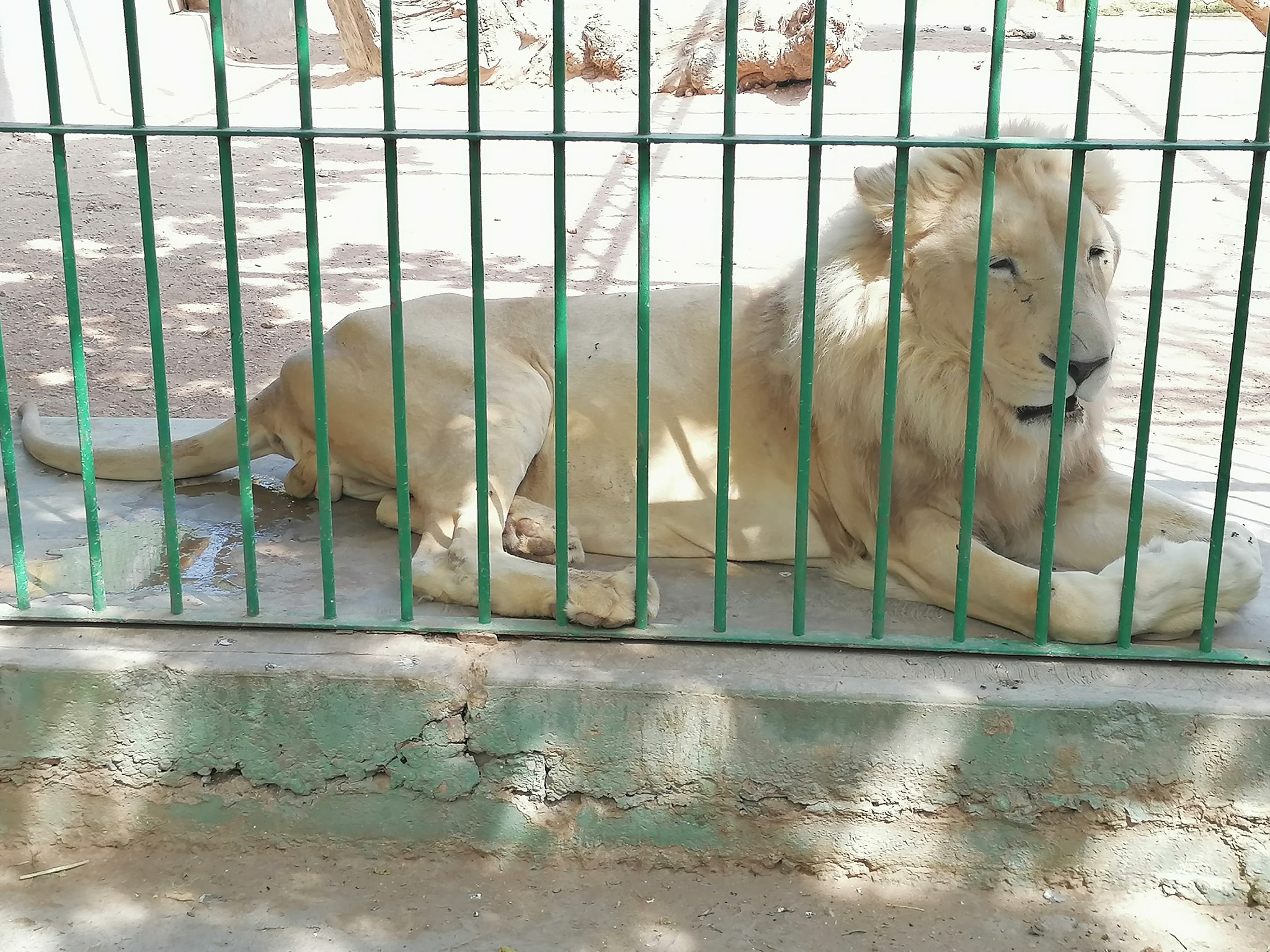 Internautas piden rescatar al Zoológico Wamerú; "¡vamos a visitarlo!", dicen 