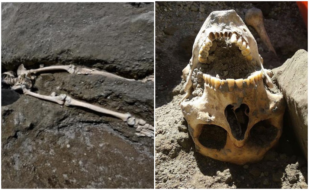 Hallan cabeza del esqueleto que apareció en una erupción de Pompeya