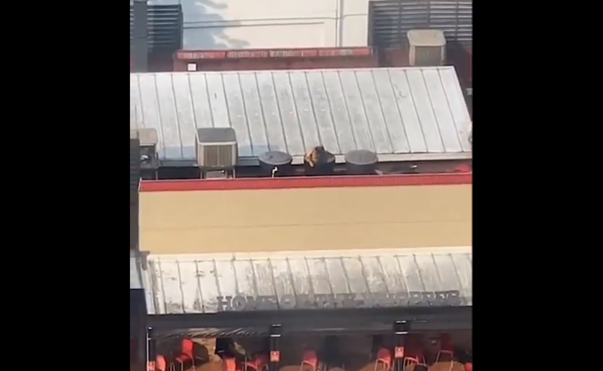 Cierra Burger King luego de que un hombre se bañó desnudo en tanque del restaurante. VIDEO