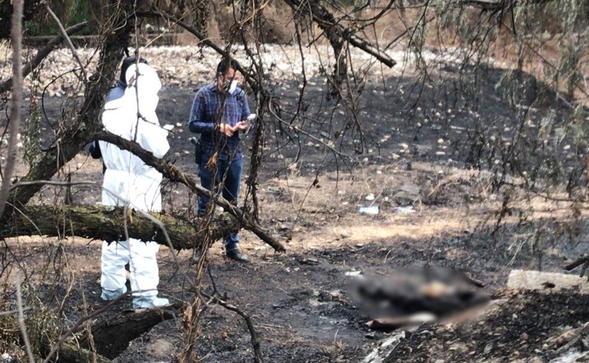 Dan 45 años de cárcel a sujeto por matar a golpes a su madre y calcinar su cadáver