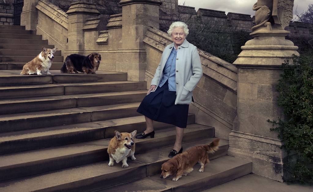 Reina Isabel II, de luto por la muerte de Willow, su "fiel compañero" canino