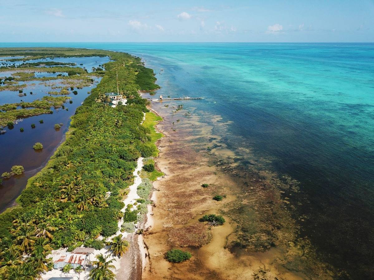 Corales y tiburones: snorkel en el atolón más grande de México 