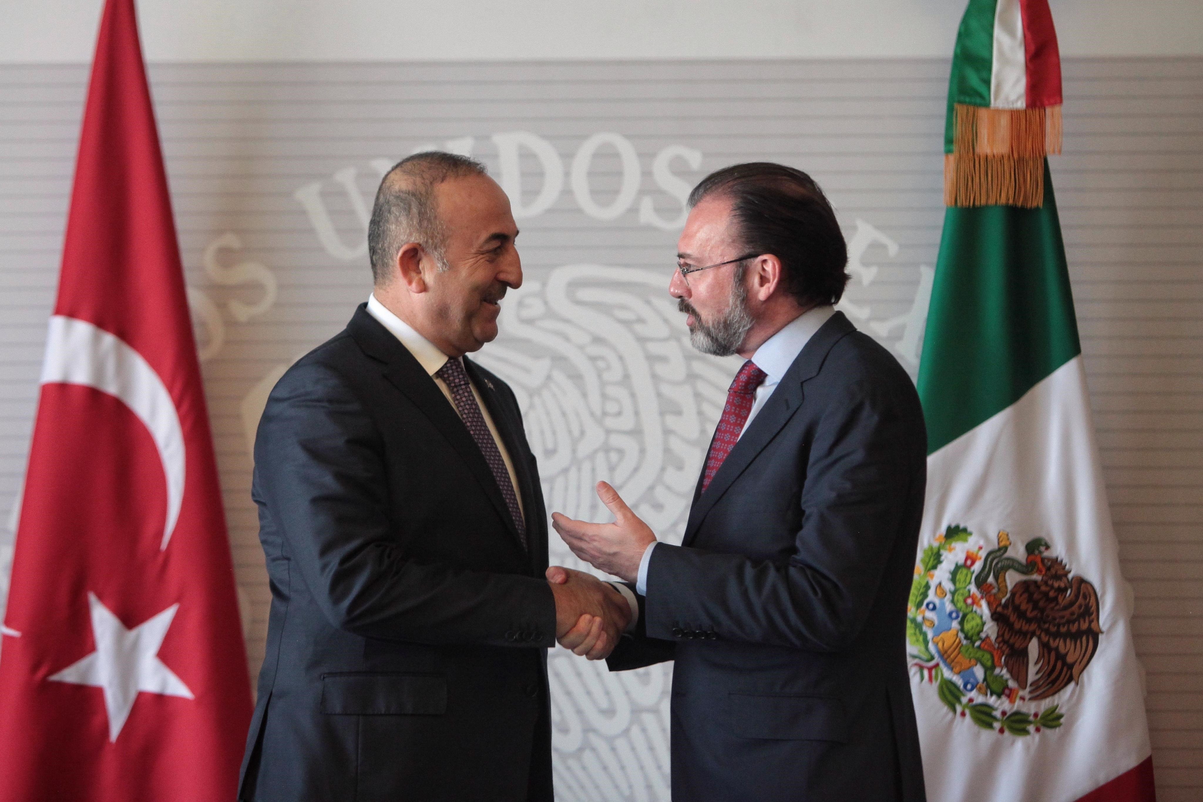 Busca México concretar TLC con Turquía