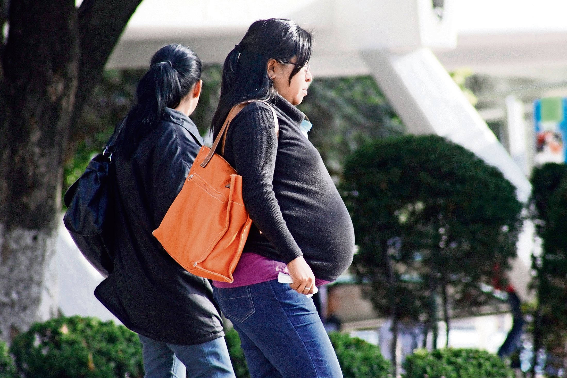 El Embarazo Modifica El Cerebro De Las Mujeres | El Universal