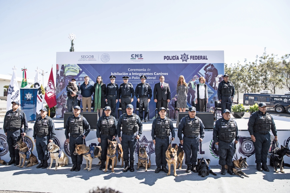 Policía Federal jubila a 14 elementos caninos 