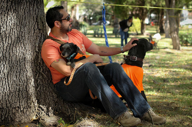 Lazos con seres de cuatro patas