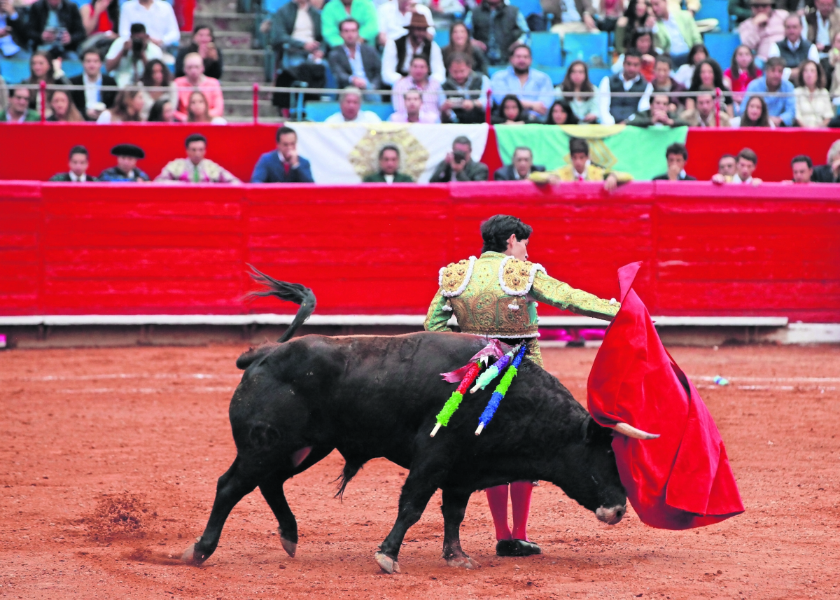 Jueza ordena suspensión de las corridas de toros en la Plaza México
