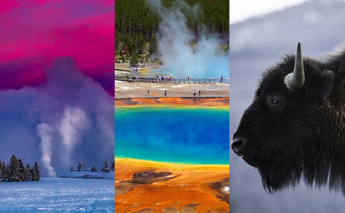 Descubre la belleza del Parque Yellowstone desde casa