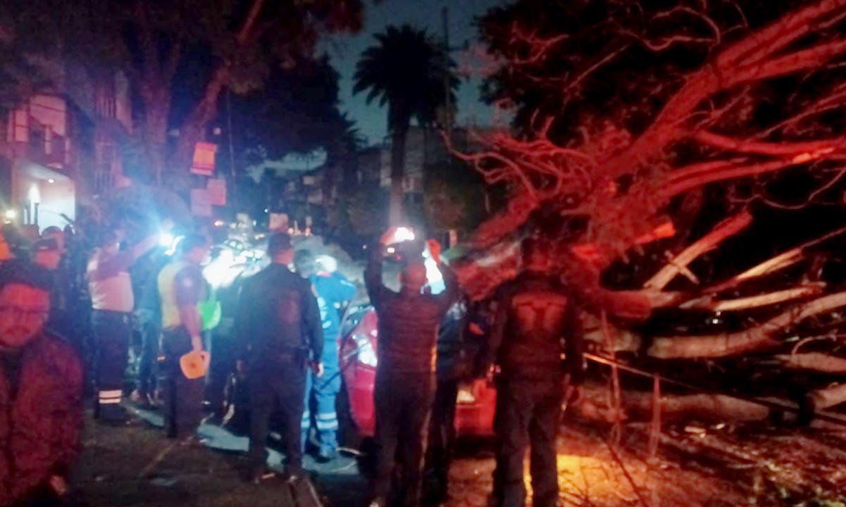 Mujer muere al caer árbol sobre auto tras lluvia en la Narvarte