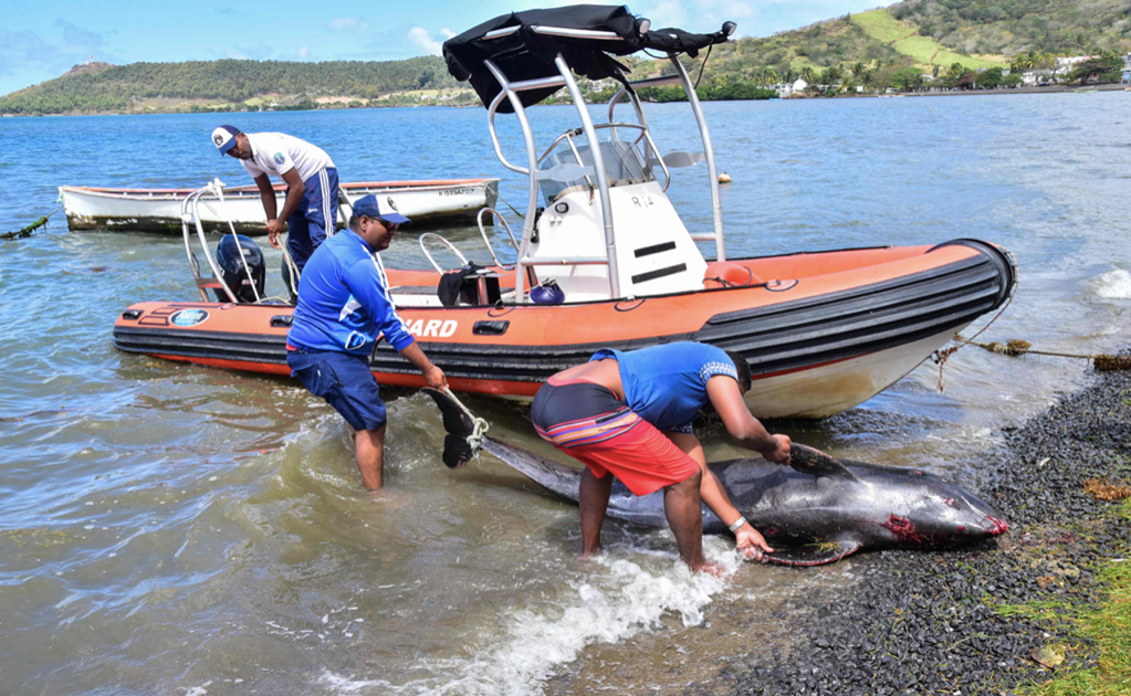 Mauritius marine life threatened after a stranded Japanese oil tanker splits apart