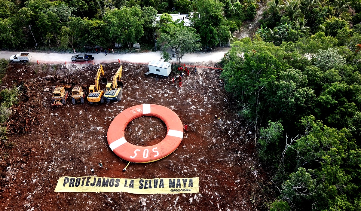 Juez rechaza suspender Manifestación de Impacto Ambiental del tramo 5 del Tren Maya