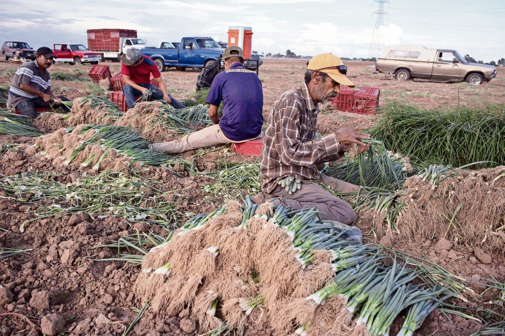 Piden acuerdo por los trabajadores