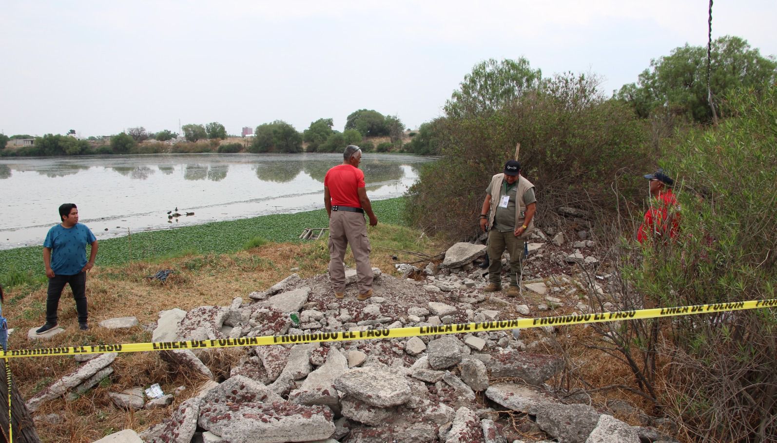 Buscan capturar a reptil que vive en la Laguna La Piedad, en Cuautitlán Izcalli