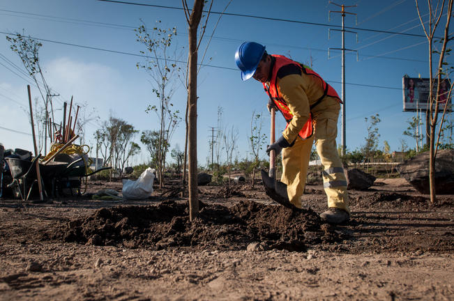 Entregan pulmón urbano equivalente a 41 alamedas