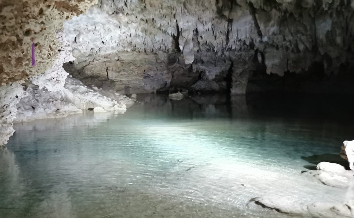 Dictan nueva suspensión a obras del Tren Maya en Tramo 5 Sur de Playa del Carmen a Tulum