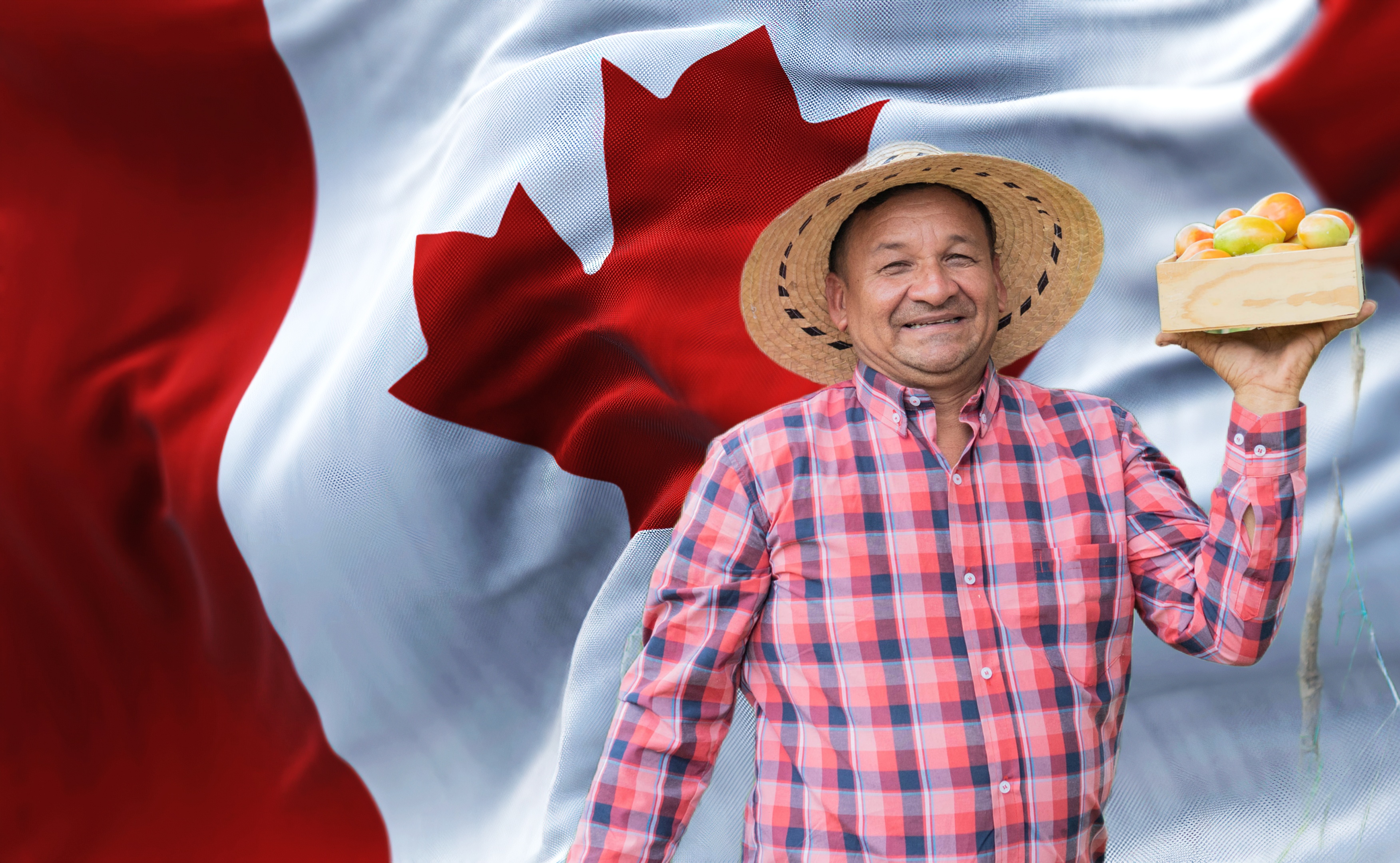 Trabajo en Canadá: 27,000 mexicanos participarán en  programa de jornaleros agrícolas este 2024