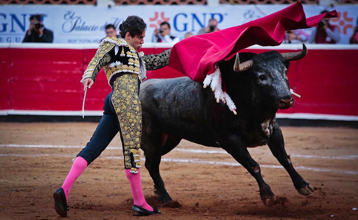 PT plantea cárcel para quienes organicen o asistan a corridas de toros