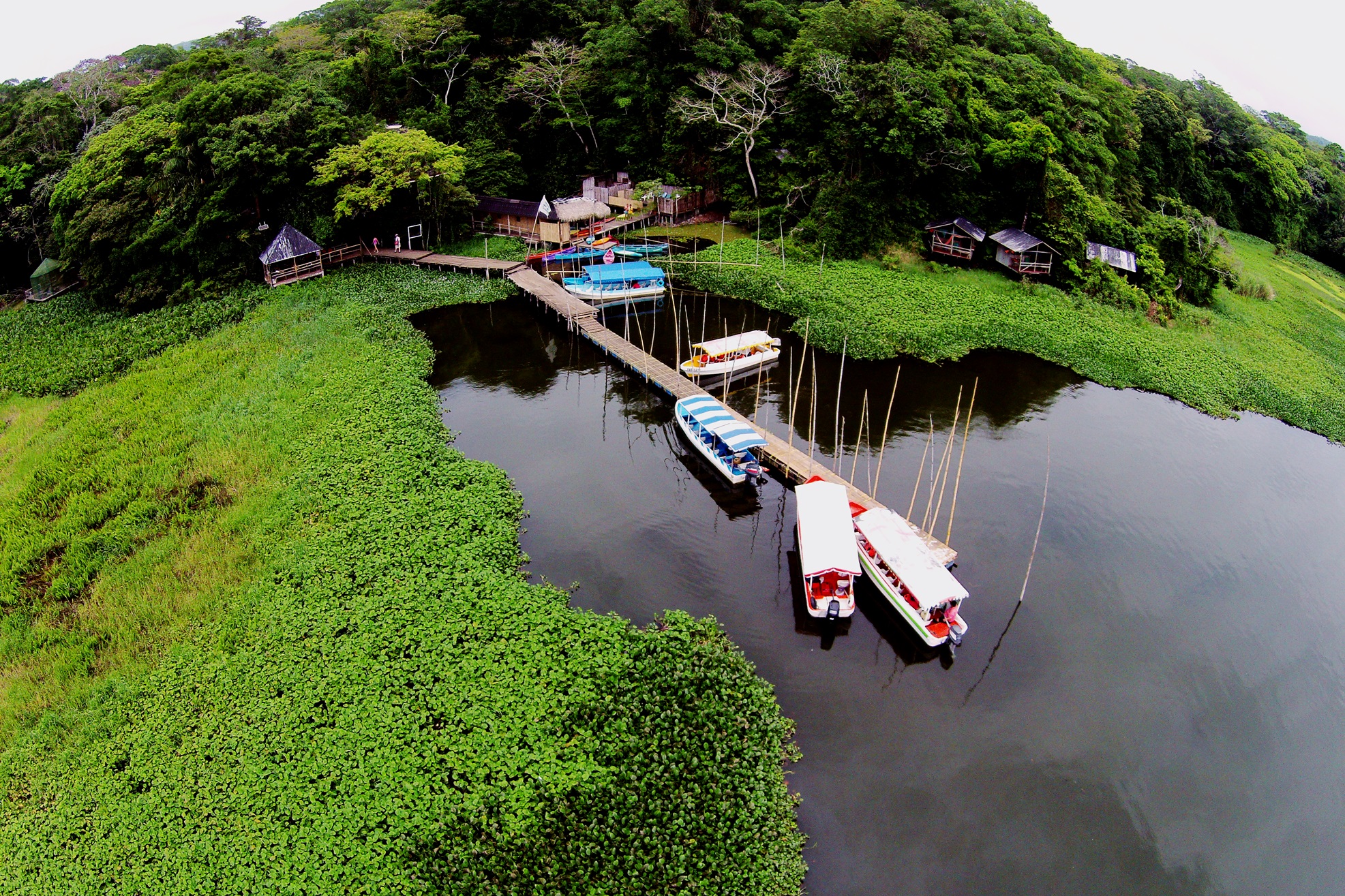 5 bosques donde escapar de la mala calidad del aire de la CDMX