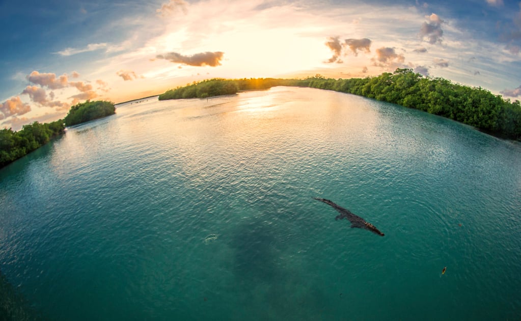 11 cosas que no sabías sobre la Reserva de la Biósfera de Sian Ka'an