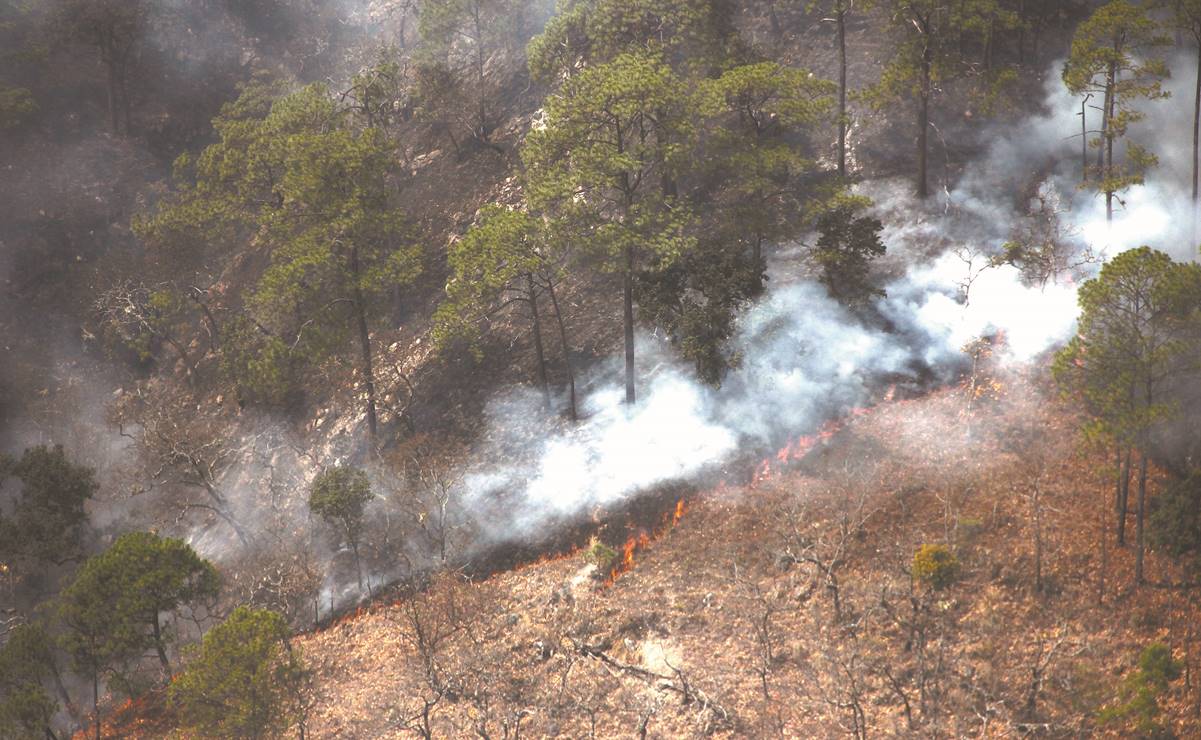 Comuneros enfrentan solos las llamas en la sierra