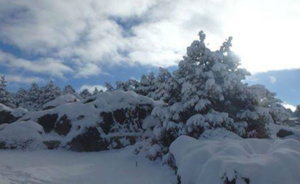 Sierra de Chihuahua registra las primeras nevadas
