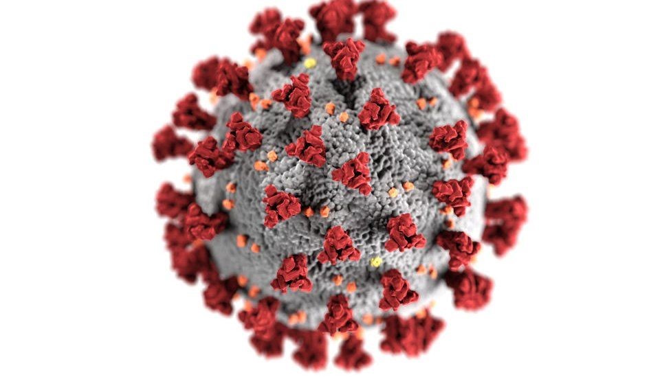 Coronavirus: qué se sabe de la variante de "doble mutación" encontrada en India
