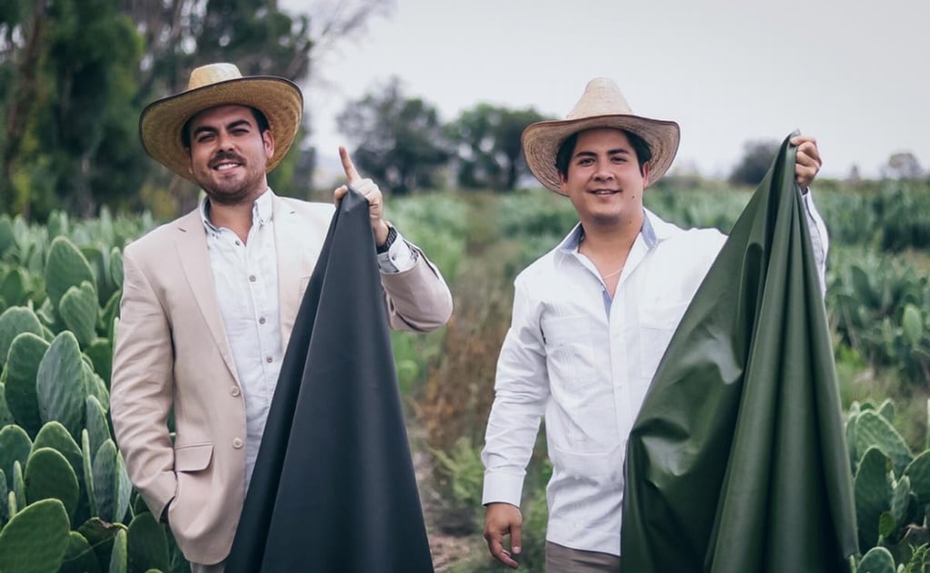 Mexicans create the first vegan leather using nopal