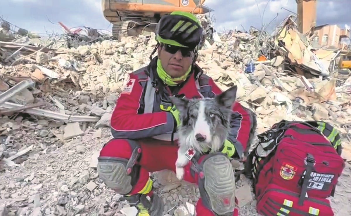 VIDEO: Conoce el momento en el que el perrito rescatista Balam, encontró una persona bajo los escombros en Turquía