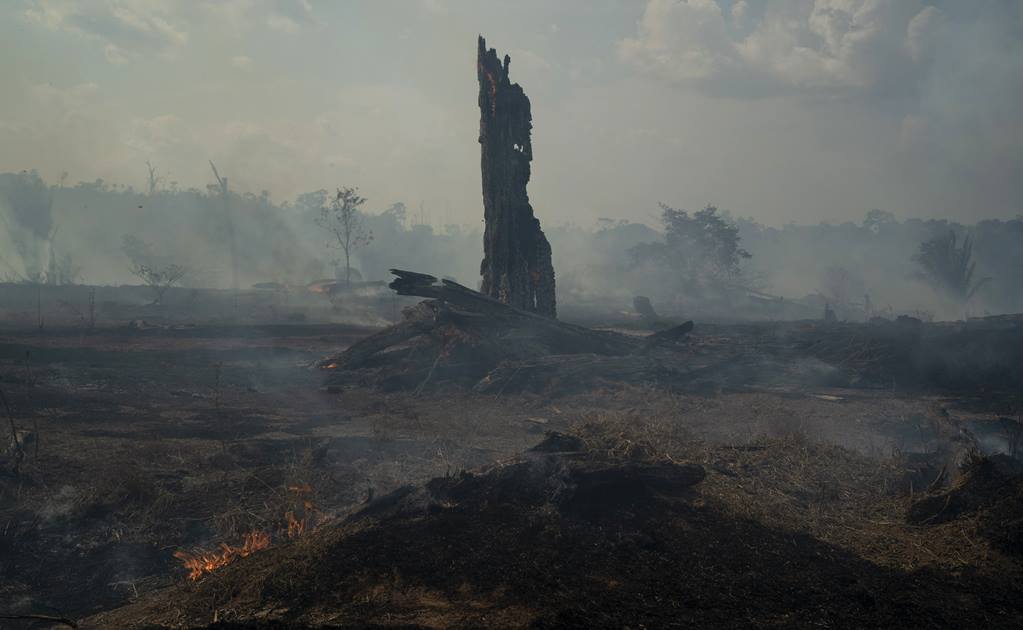 Aumentan problemas respiratorios por humo de incendios en la Amazonia
