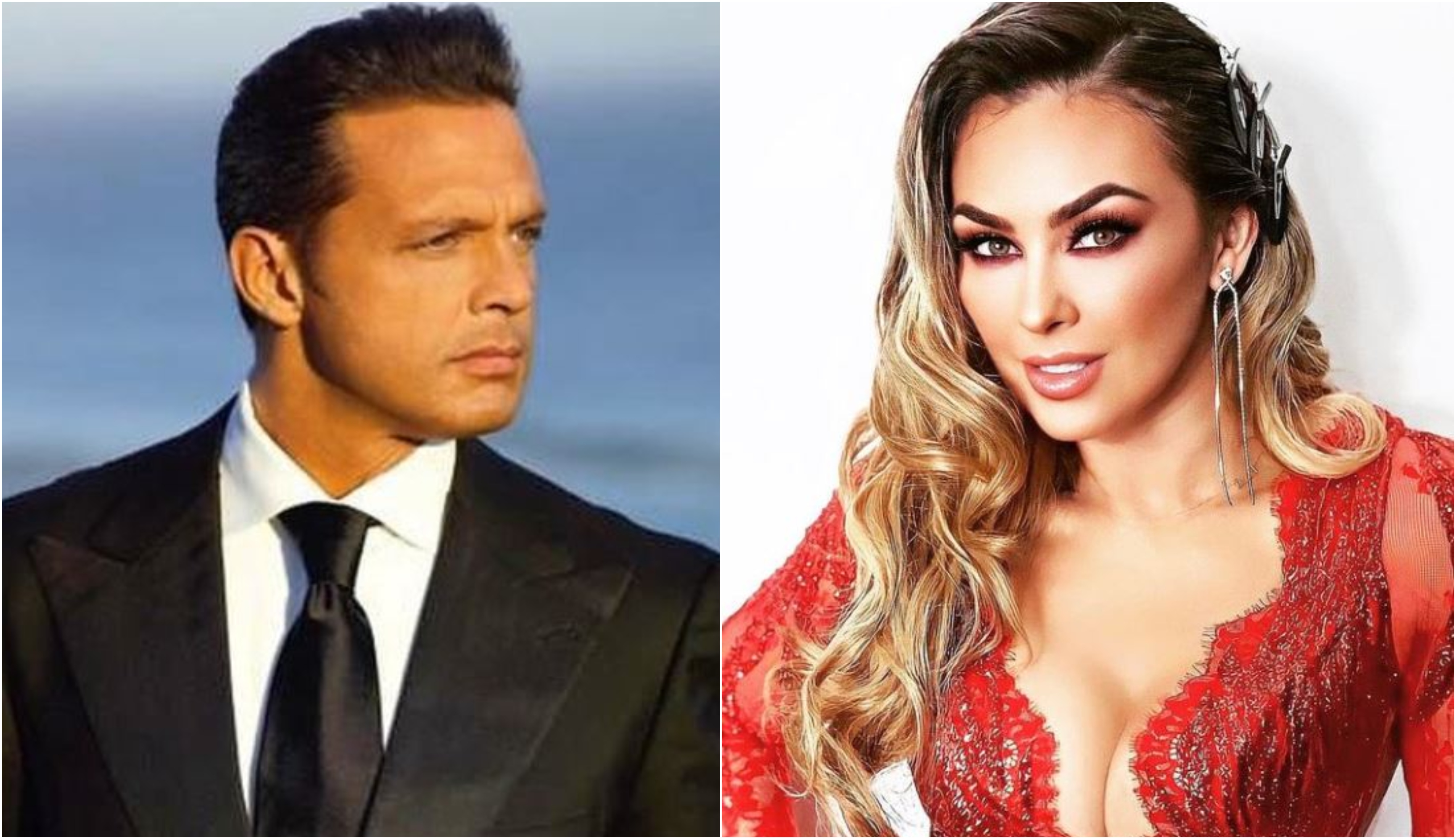 Aracely Arámbula no demandó a Luis Miguel por pensión, revelan