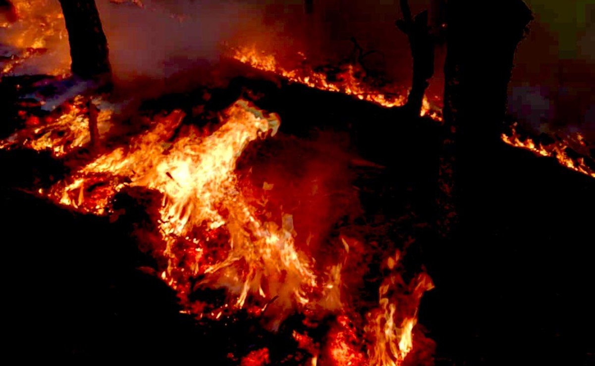 Por incendios forestales, declaran emergencia en 13 municipios de Oaxaca