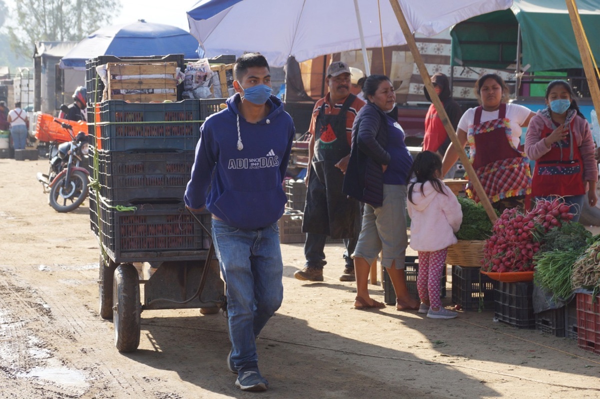 Pandemia afecta a 400 productores y agricultores de Oaxaca; ventas caen 40%