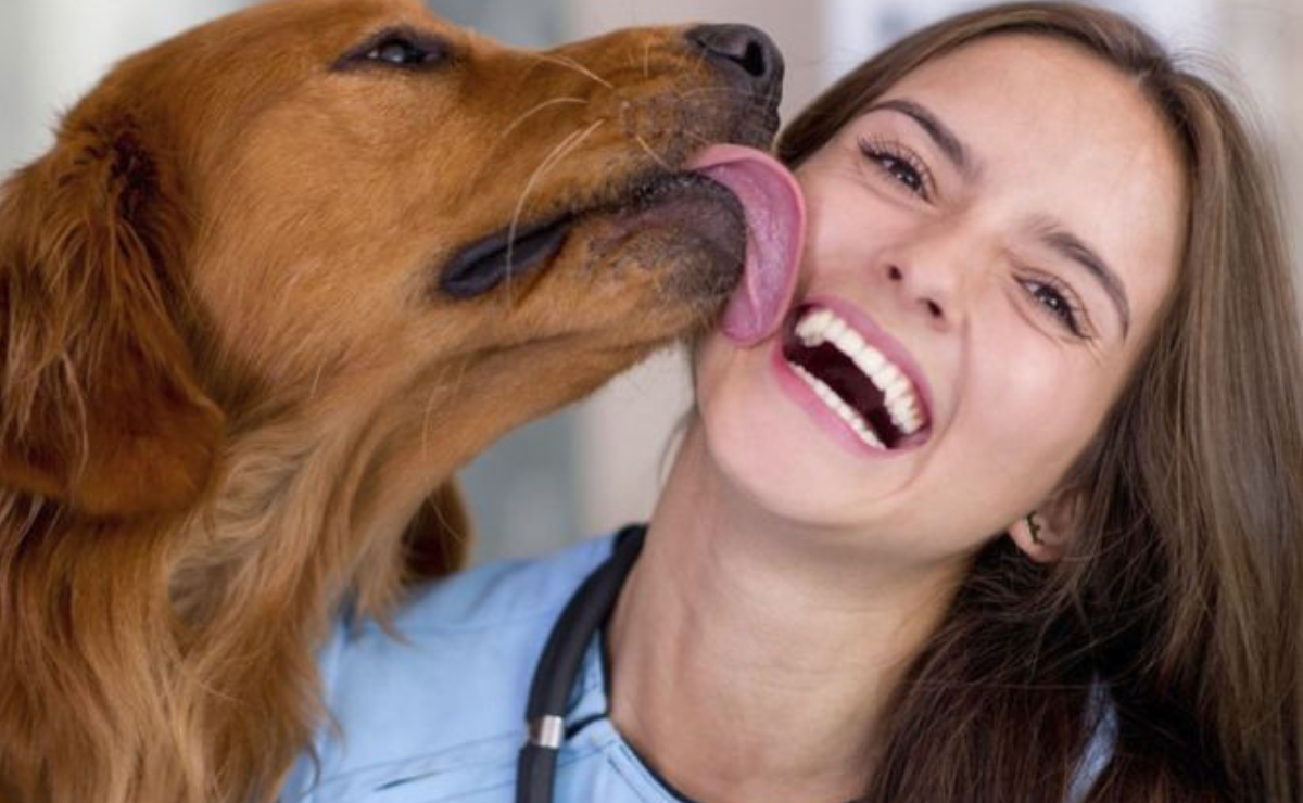 Conoce las medicinas que se pueden compartir con tus mascotas