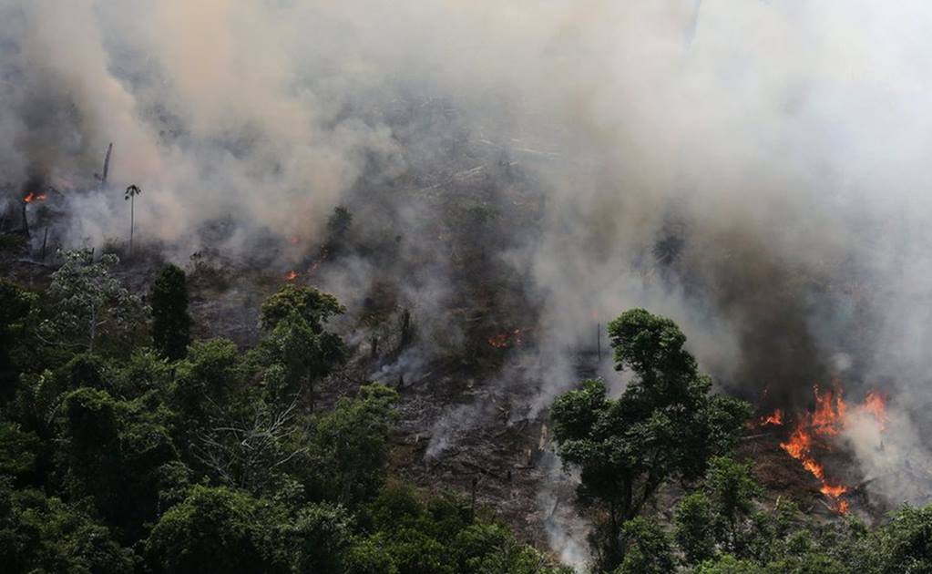 Cuatro formas en las que puedes ayudar a la Amazonía ante los incendios
