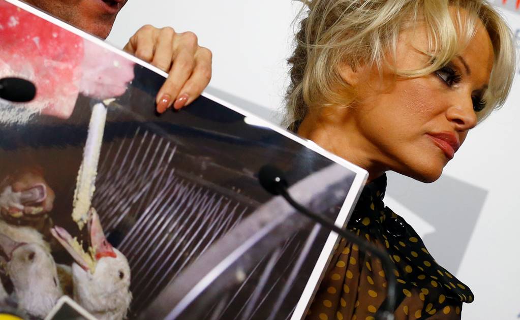 Pamela Anderson critica maltrato a gansos en Francia
