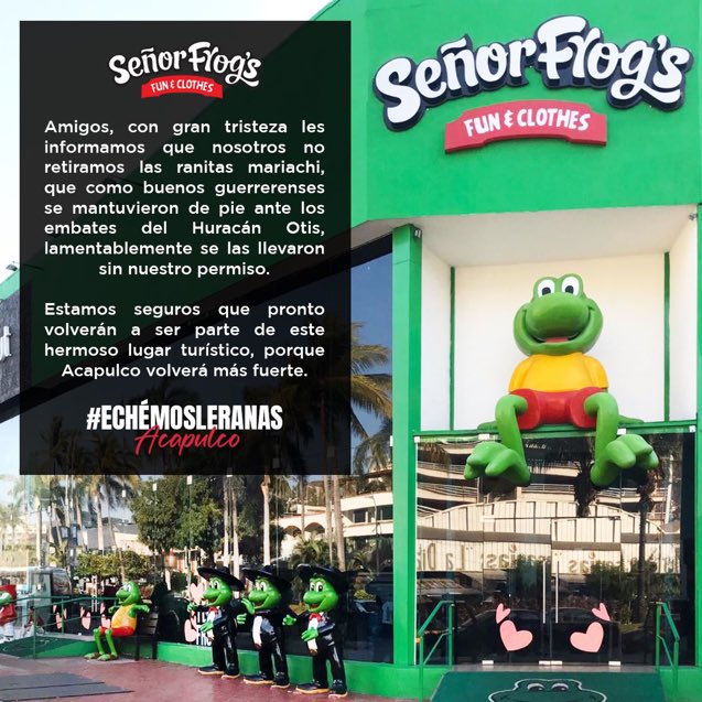 Roban icónicas ranas del Sr Frogs de Acapulco 