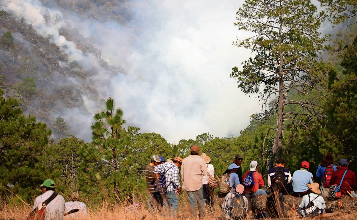 Sufre Oaxaca por incendios provocados