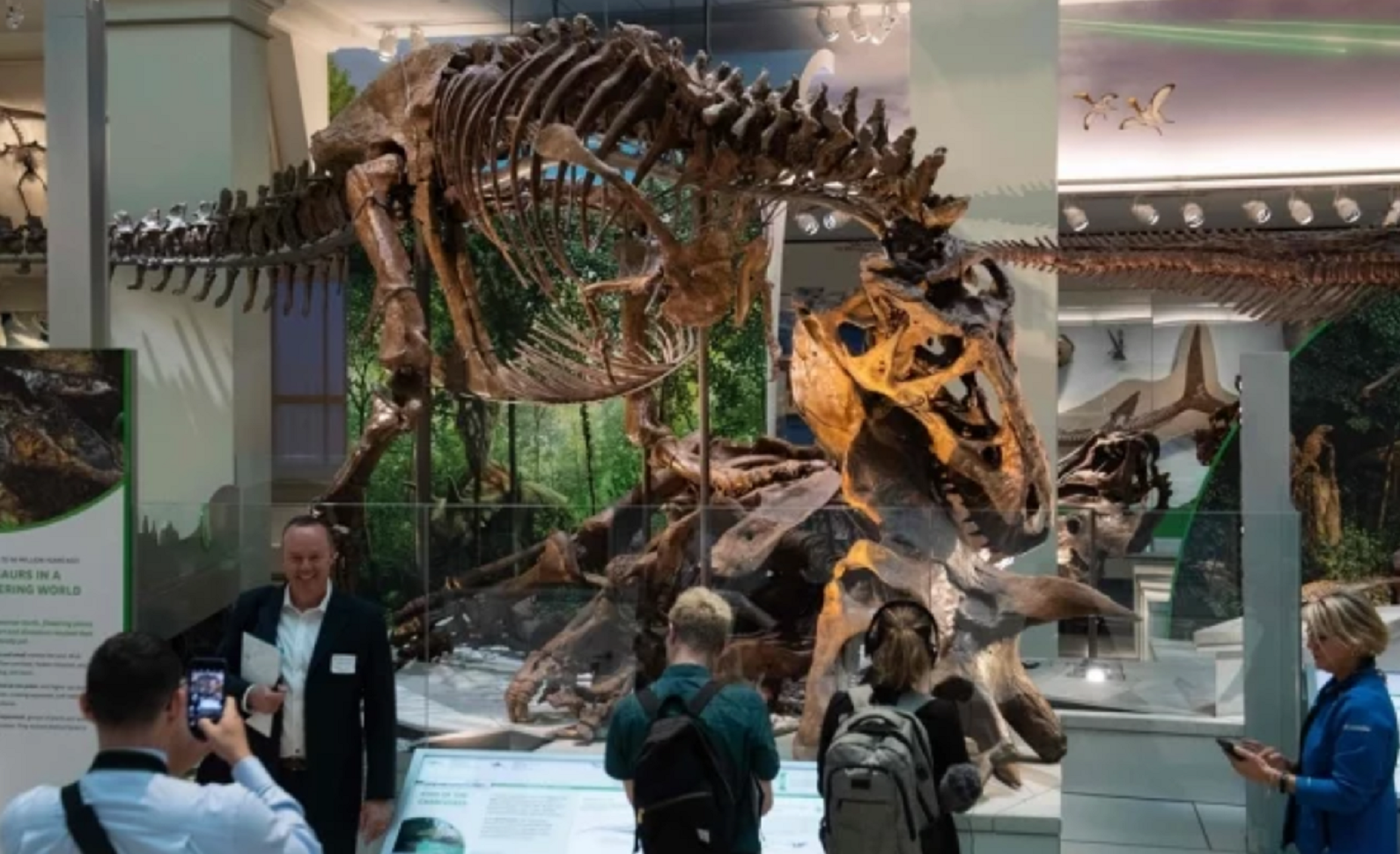 Exhibirán un esqueleto auténtico de "Tyrannosaurus rex"