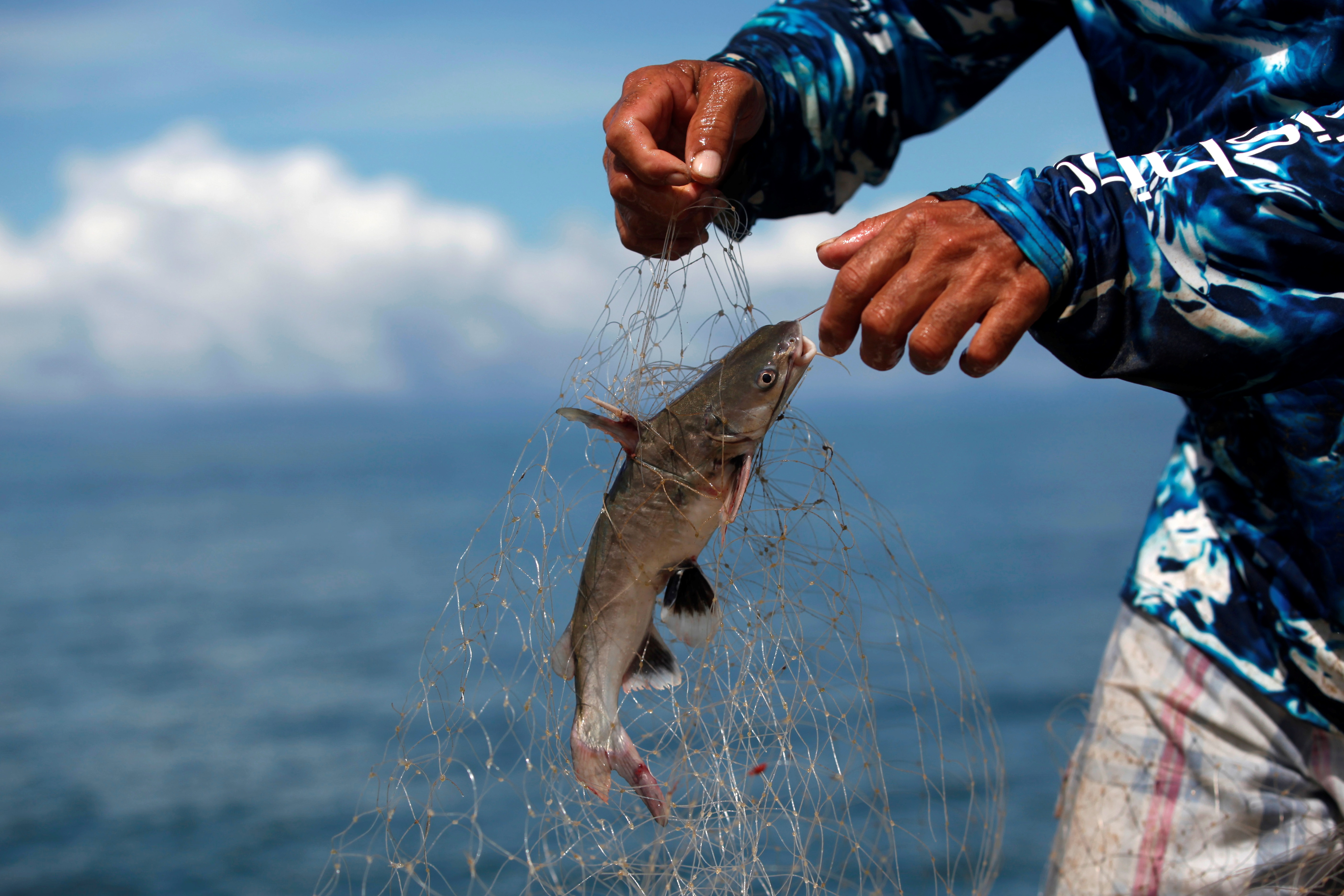 Lograr una actividad pesquera sostenible en el Mar de Cortés, el verdadero  reto